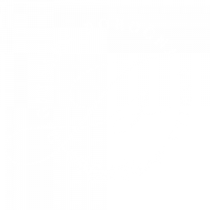 logo_poročna spletna stran white