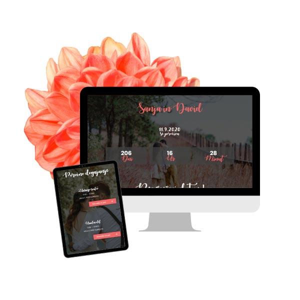 Primer mladostna poročna spletna stran